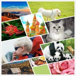 Remanufactured 122XL Ink Cartridges Combo Pack 1 Black 1 Tri-Color Replacement Ink Cartridges for HP122 122XL Deskjet 1000 1010 1011 Envy 4500 4501 4502 Officejet 2620 2621 2622 Printer - Image 3